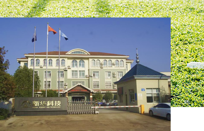 關於丝瓜视频看污